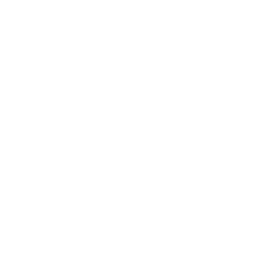 Euler active